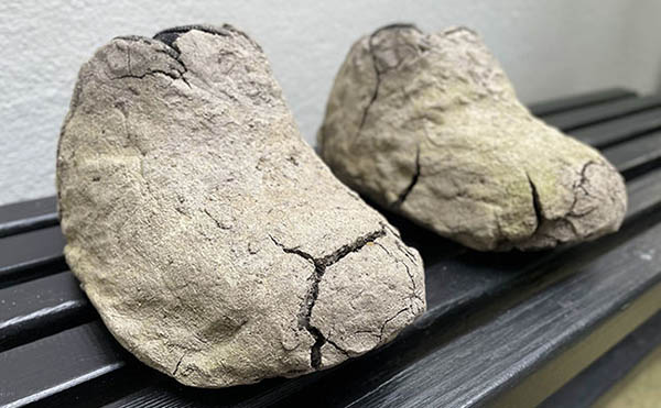 Shoes Or No Shoes Museum